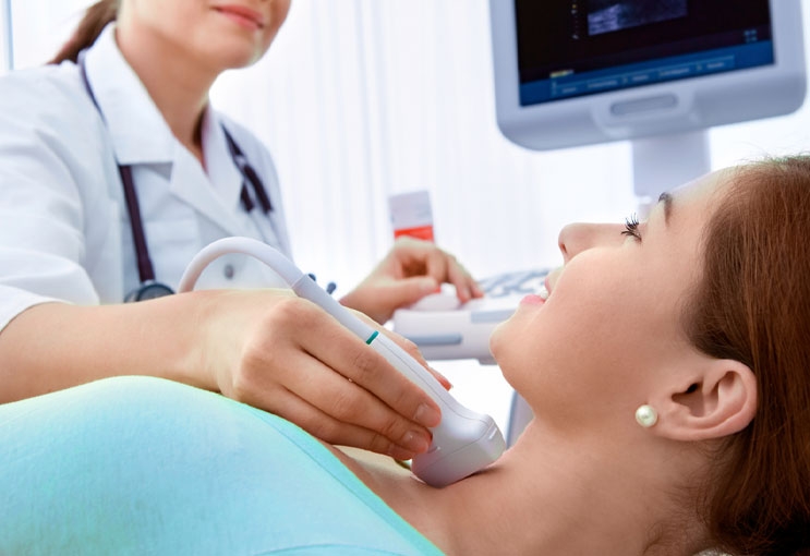 Endocrinologia Endocrinologia